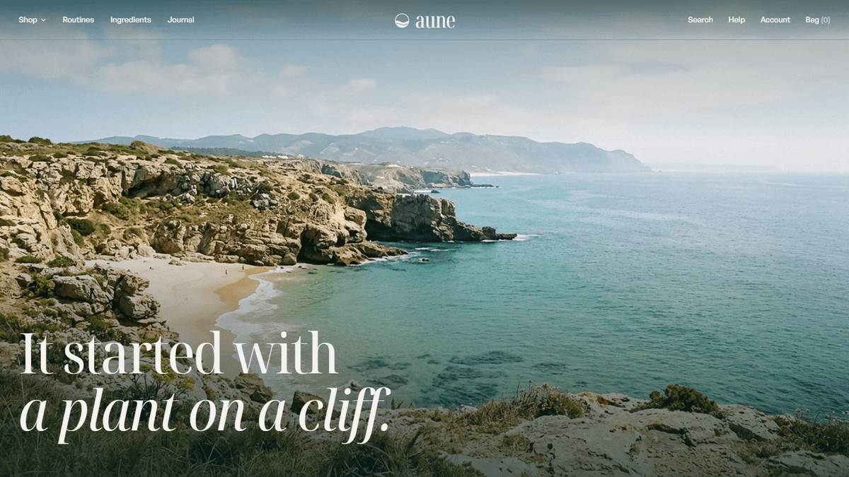 It started with a plant on a cliff