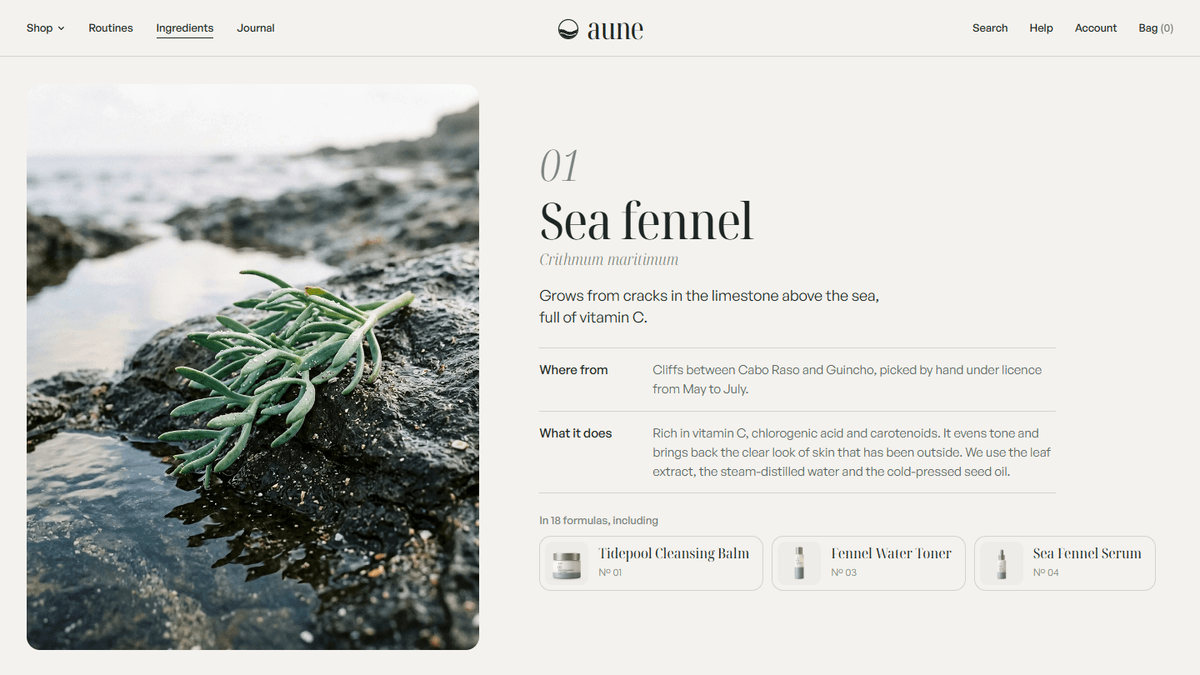 Sea fennel